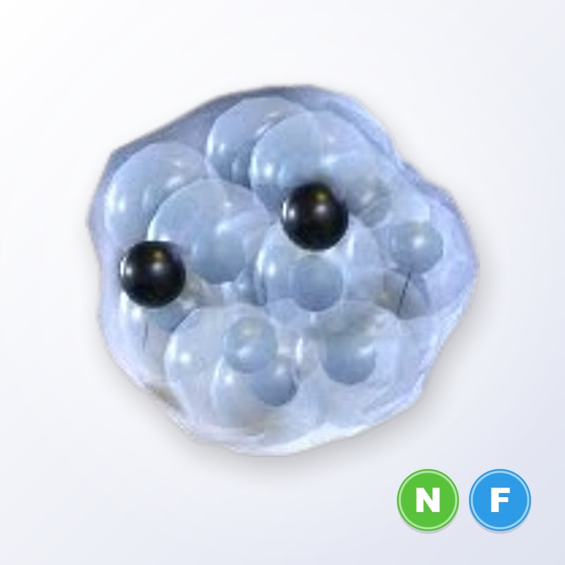 Frogspawn NF | Adopt Me