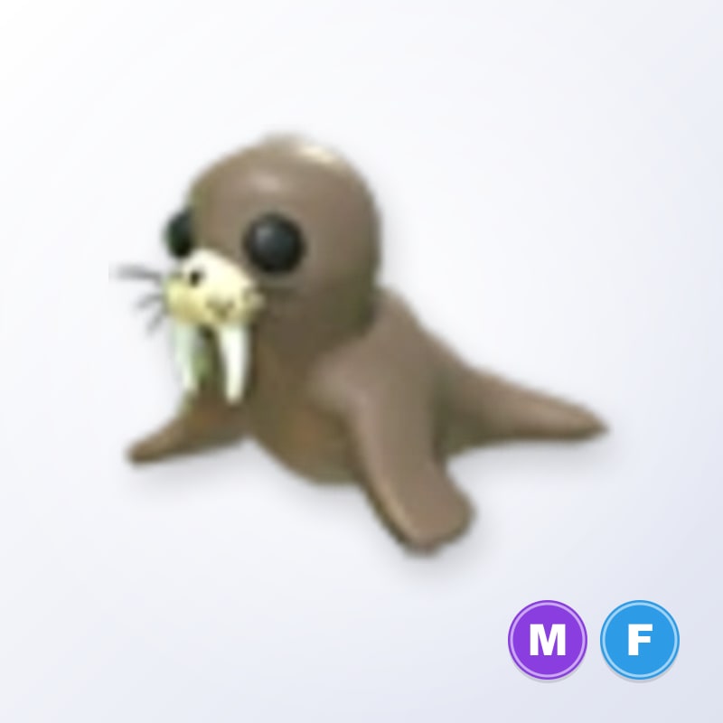 Walrus MF | Adopt Me