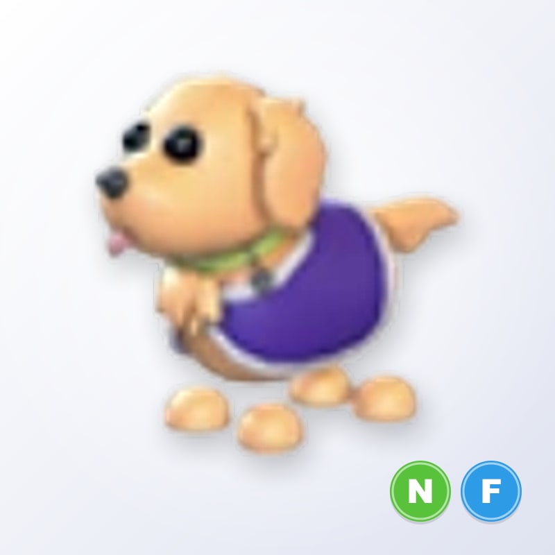 Therapy Dog NF | Adopt Me