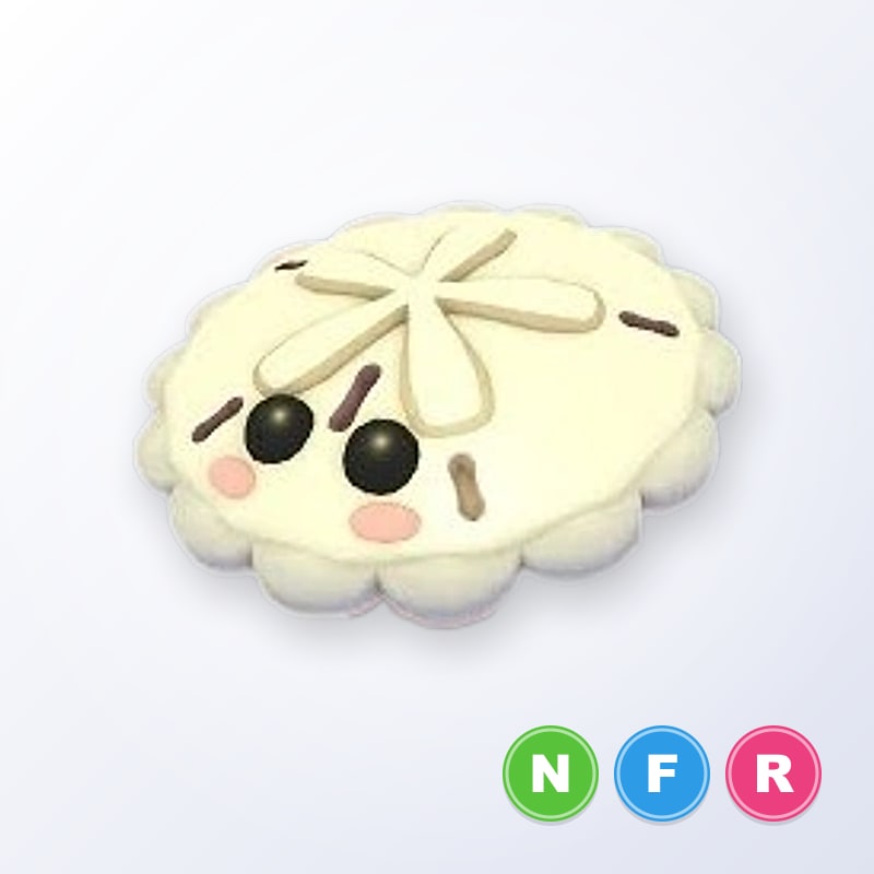 White Sand Dollar NFR | Adopt Me