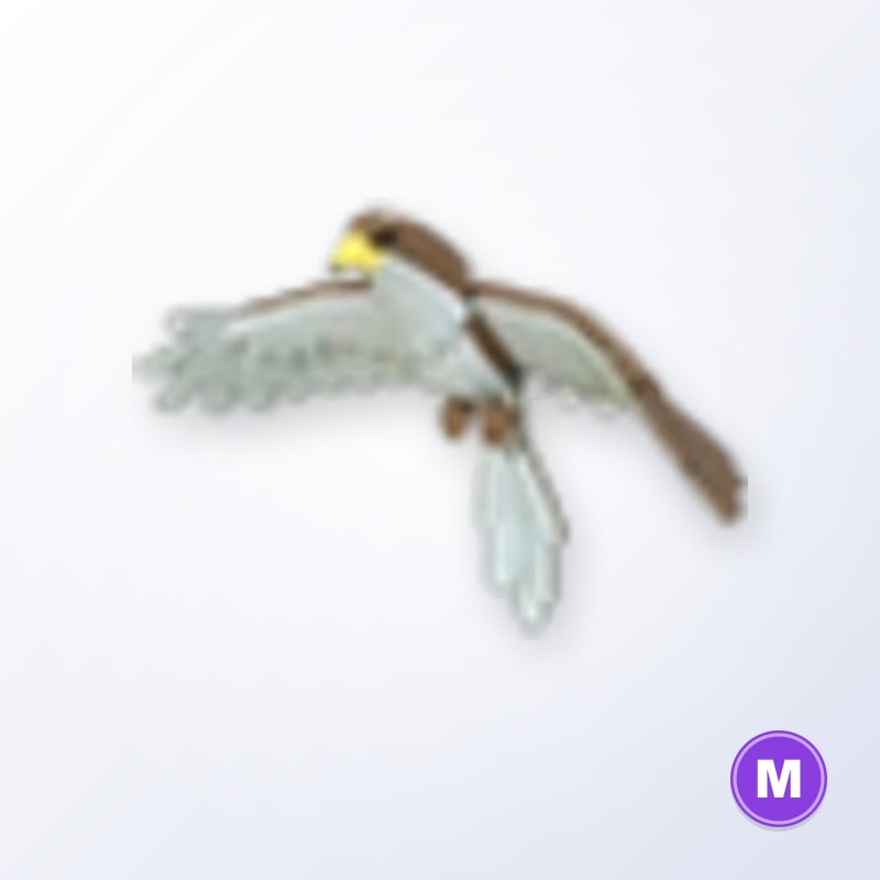 Hawk M | Adopt Me