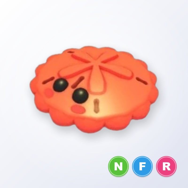 Red Sand Dollar NFR | Adopt Me