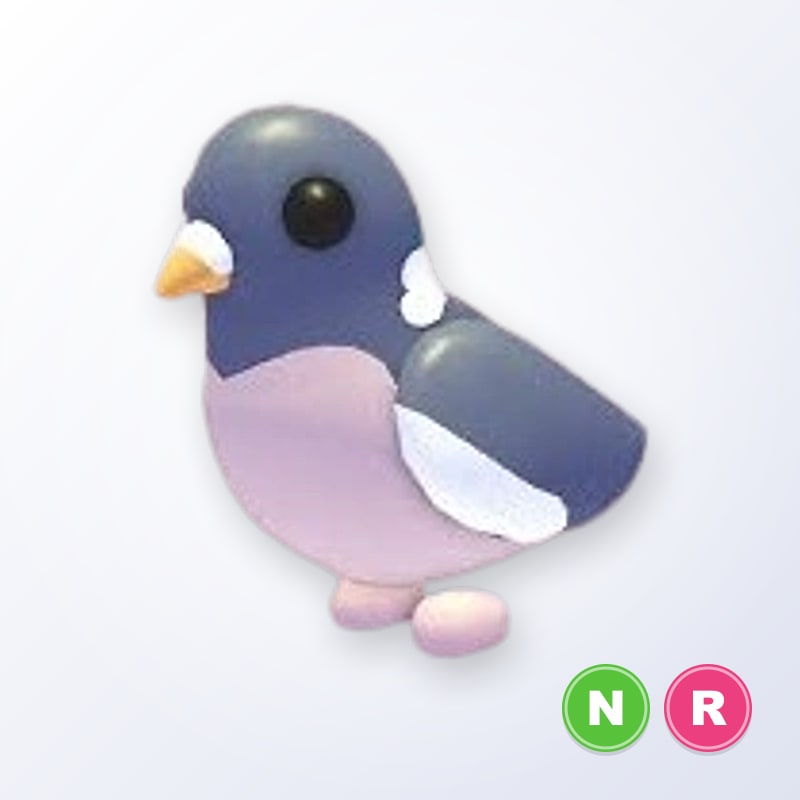Wood Pigeon NR | Adopt Me