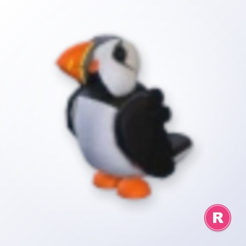 Puffin R | Adopt Me