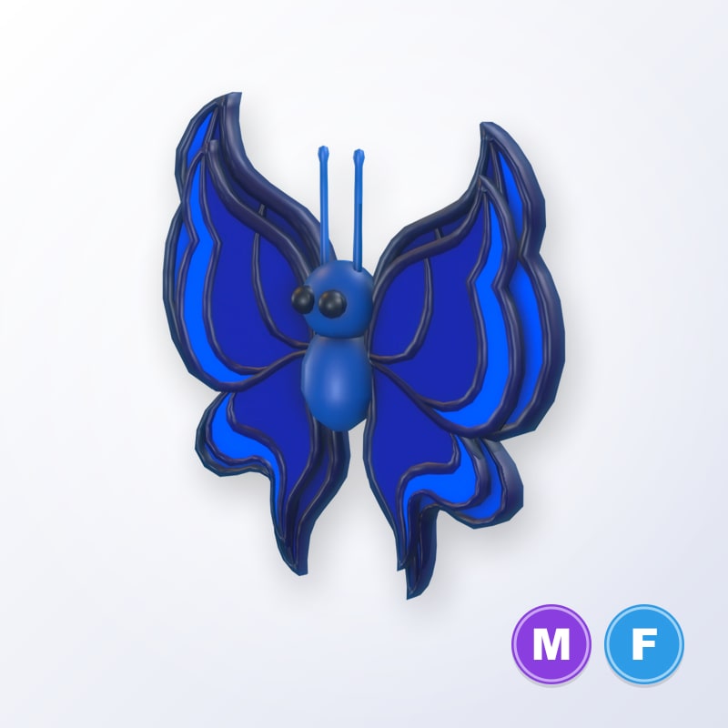 Blue Butterfly MF | Adopt Me