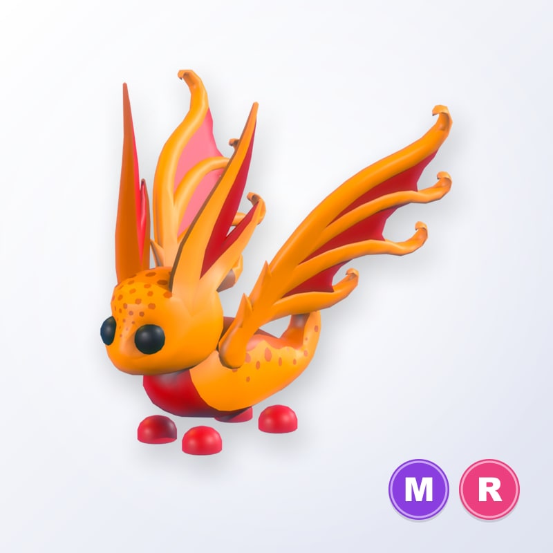 Sunglider MR | Adopt Me