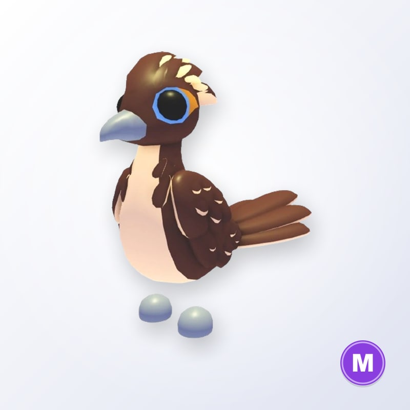 Roadrunner M | Adopt Me
