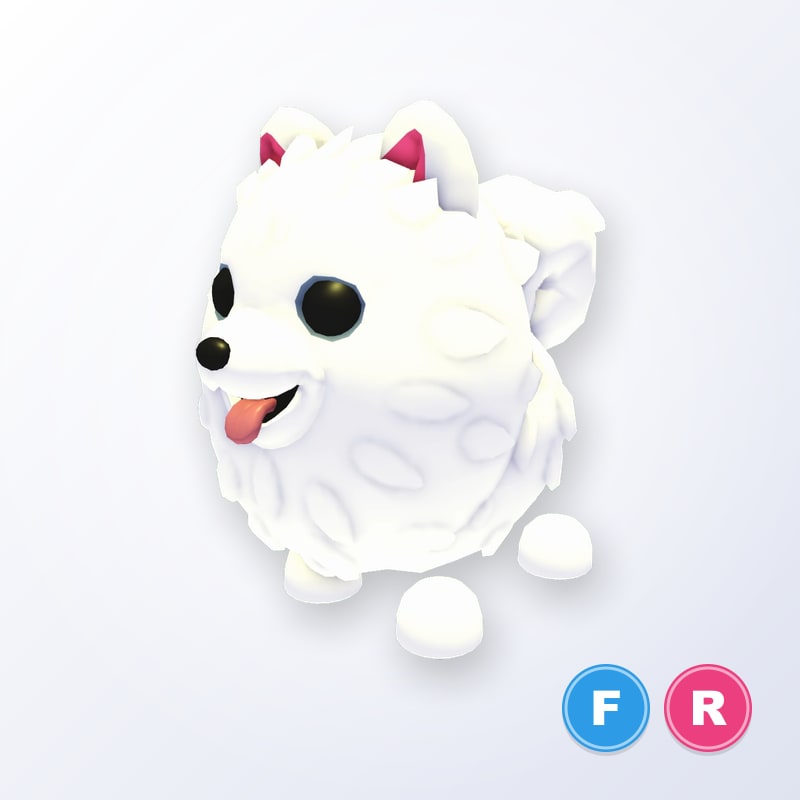 Samoyed FR | Adopt Me