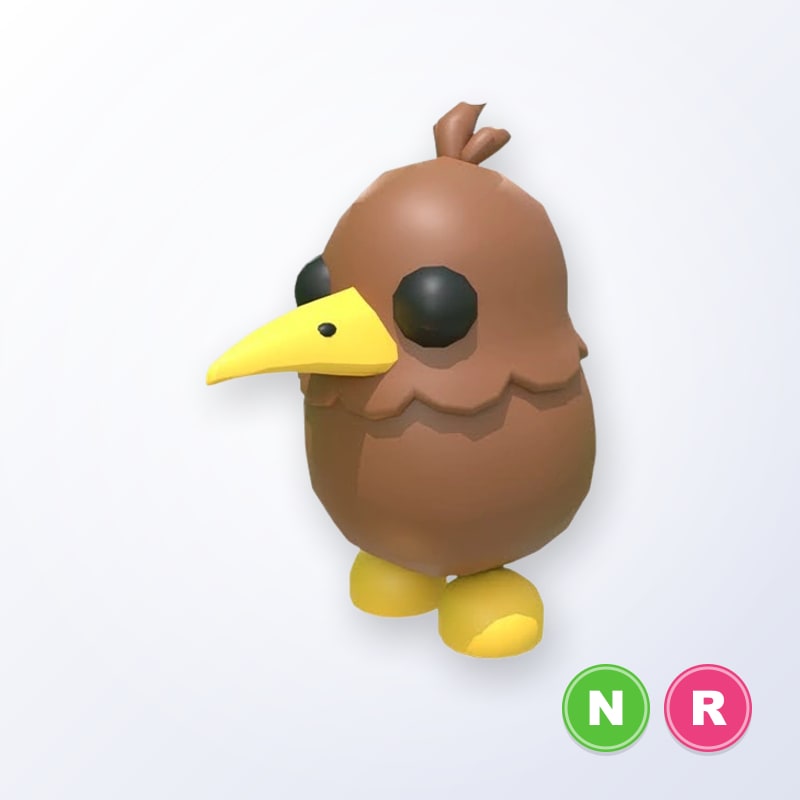 Kiwi NR | Adopt Me