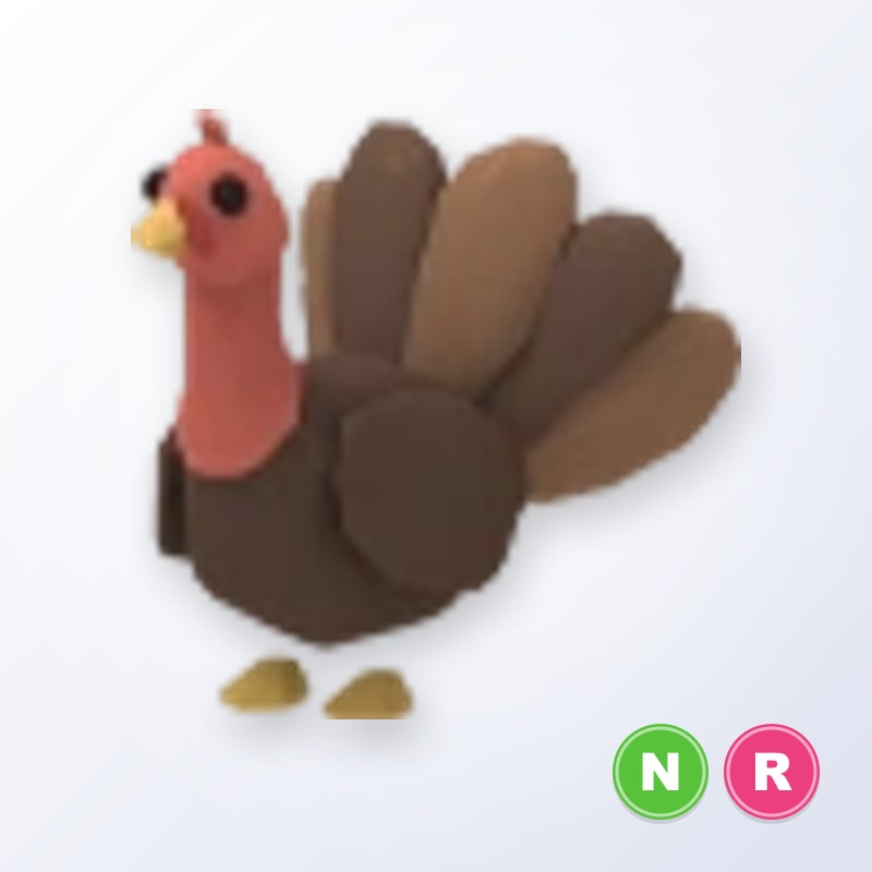 Turkey NR | Adopt Me