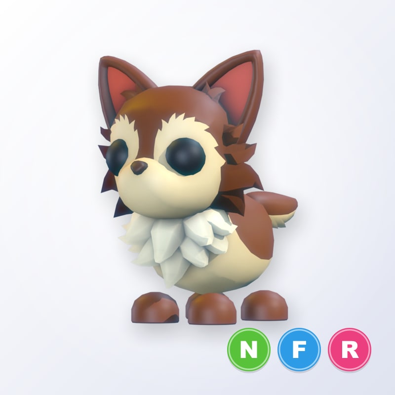 Chihuahua NFR | Adopt Me
