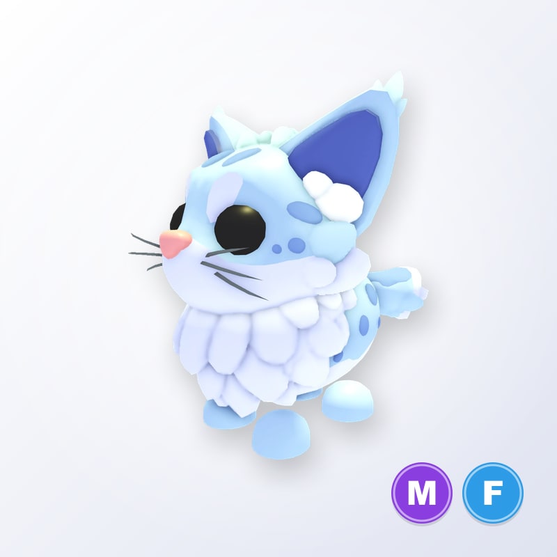 Maine Coon MF | Adopt Me