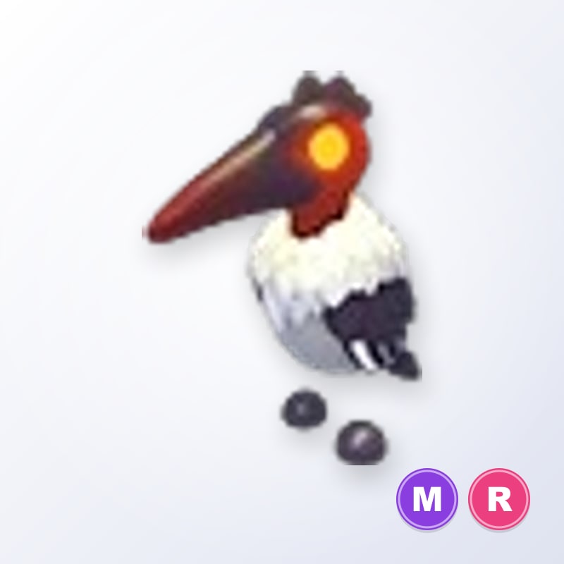 Marabou Stork MR | Adopt Me