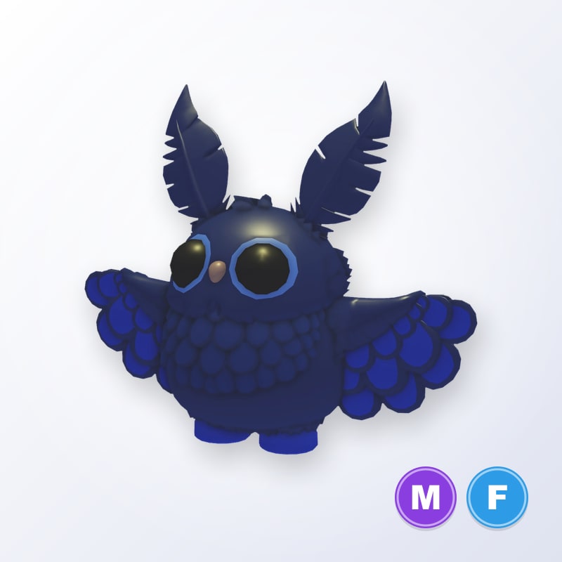 Stygian Owl MF | Adopt Me