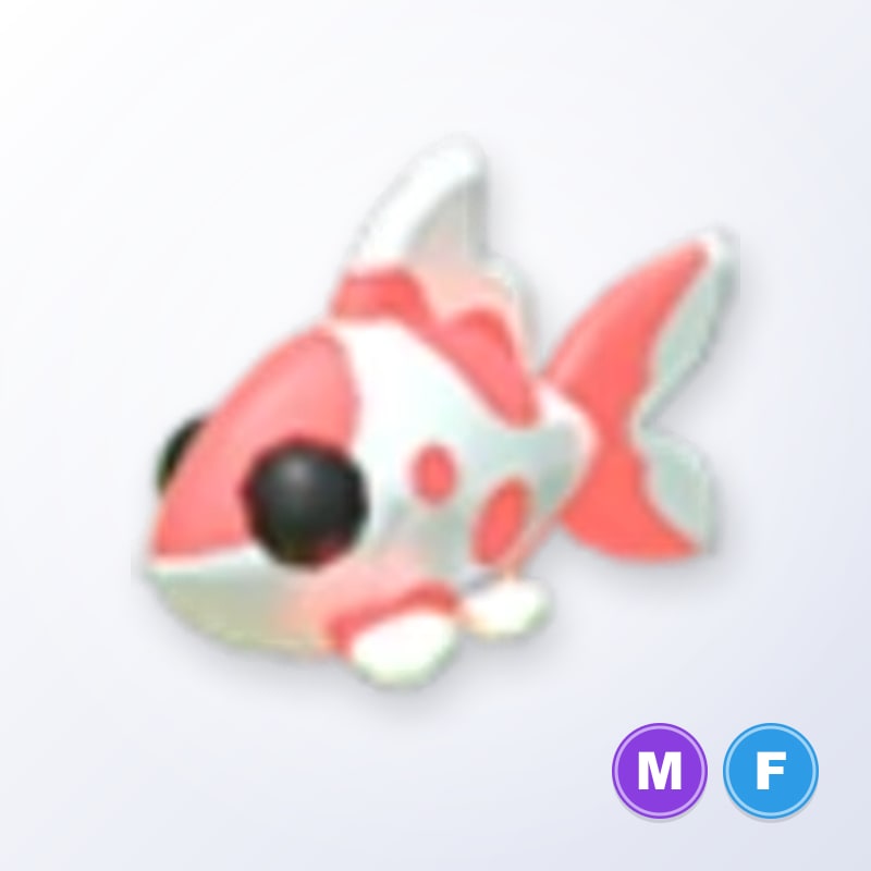 Koi Carp MF | Adopt Me