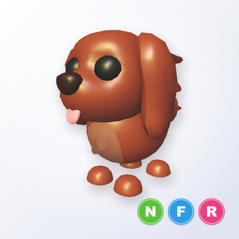 Irish Setter NFR | Adopt Me