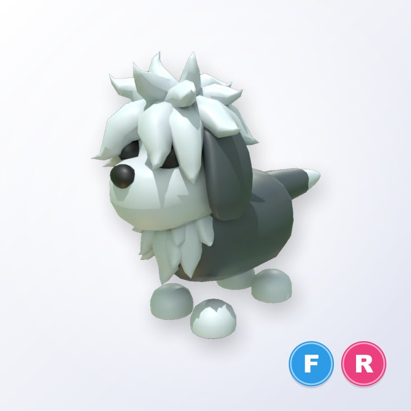 English Sheepdog FR | Adopt Me