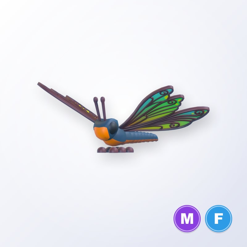 Clubtail Dragonfly MF | Adopt Me