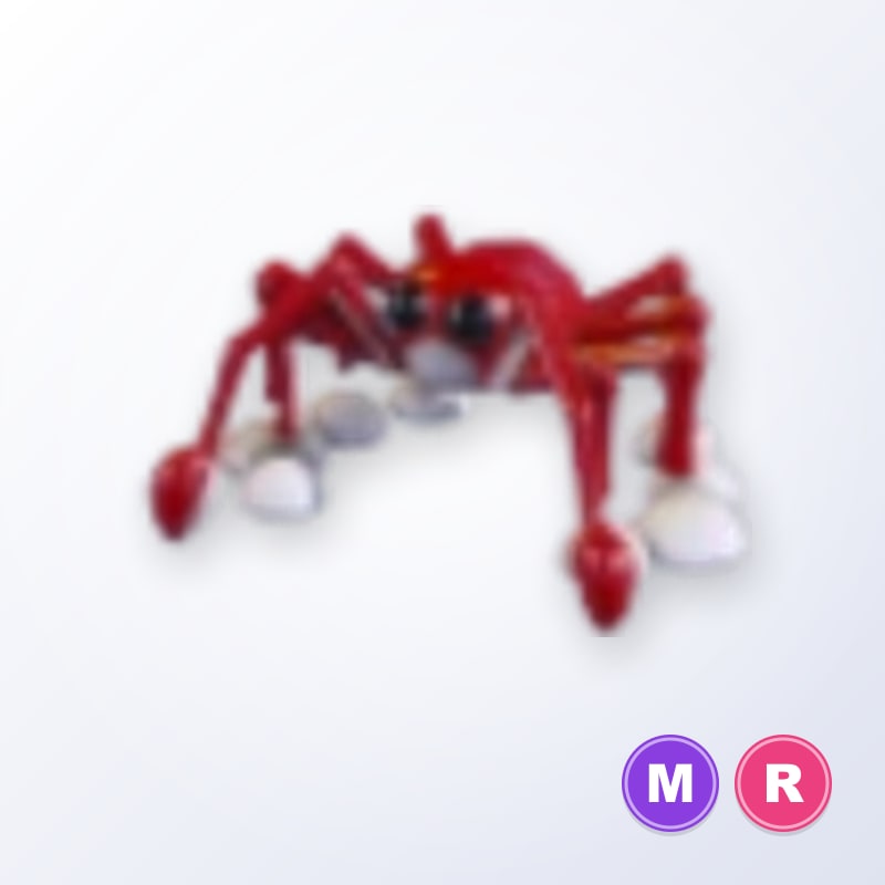 Spider Crab MR | Adopt Me