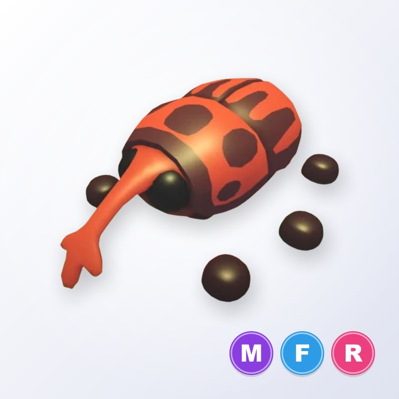 Weevil MFR | Adopt Me