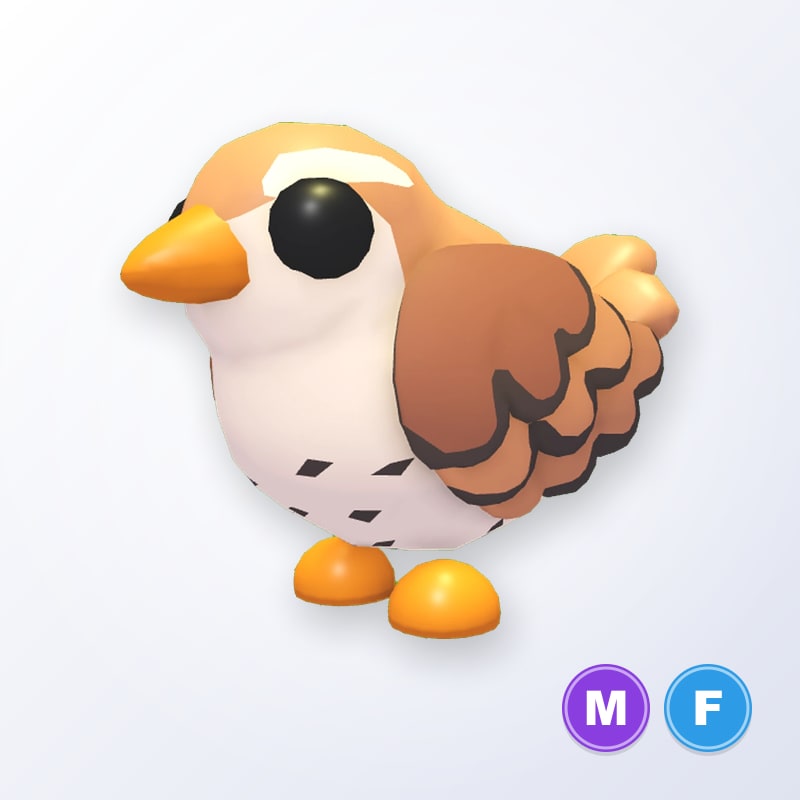 Wren MF | Adopt Me