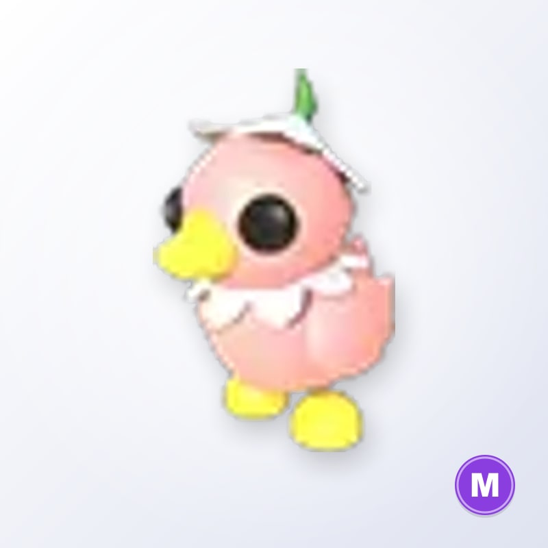 Flower Power Duckling M | Adopt Me
