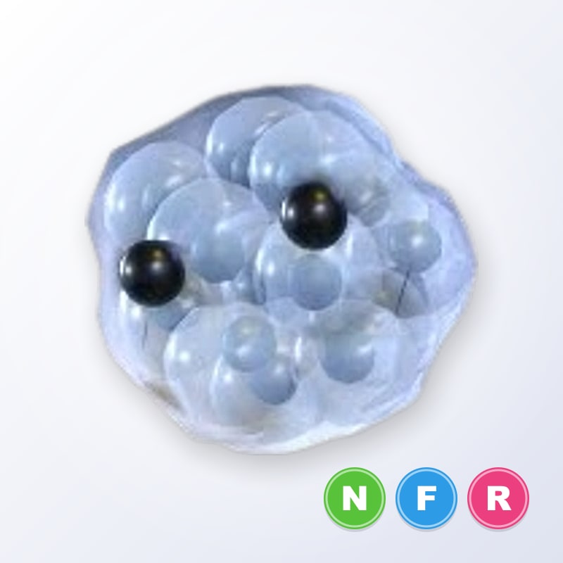 Frogspawn NFR | Adopt Me