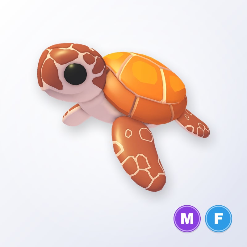 Sea Turtle MF | Adopt Me