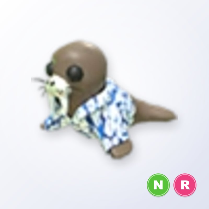 Summer Walrus NR | Adopt Me