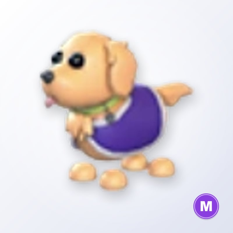 Therapy Dog M | Adopt Me