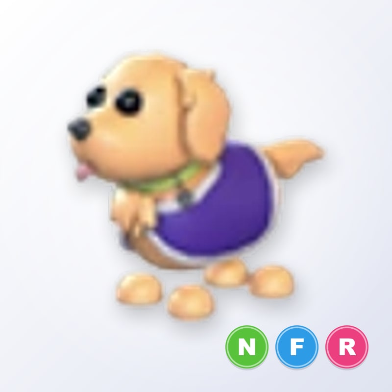 Therapy Dog NFR | Adopt Me