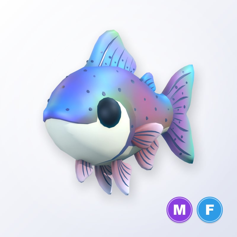 Rainbow Trout MF | Adopt Me