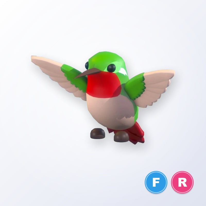 Hummingbird FR | Adopt Me