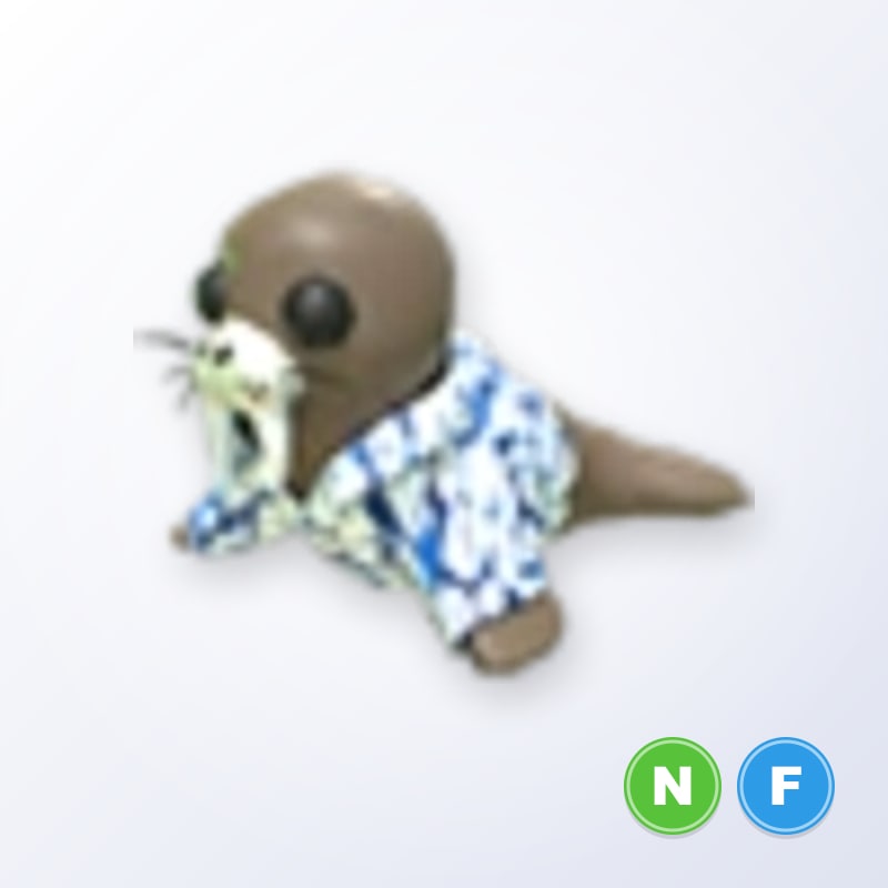 Summer Walrus NF | Adopt Me