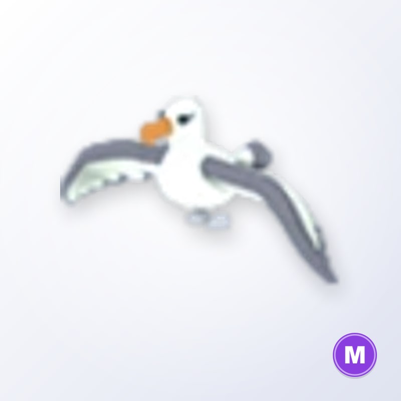 Albatross M | Adopt Me