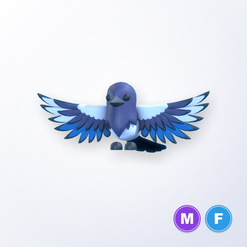 Magpie MF | Adopt Me