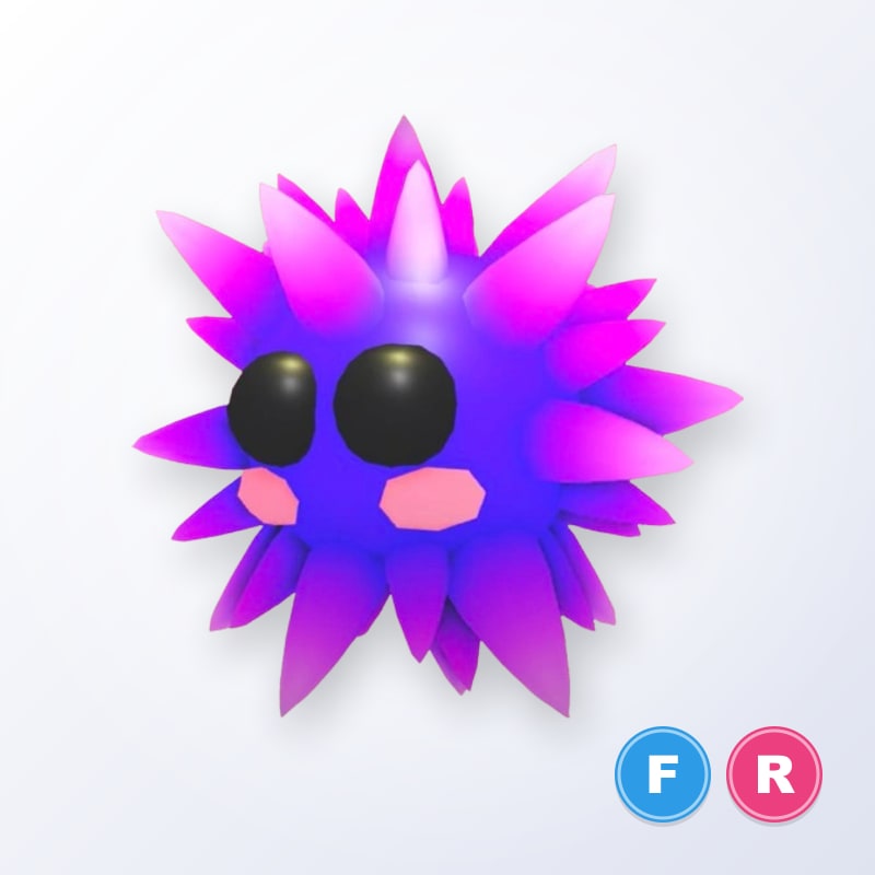 Urchin FR | Adopt Me
