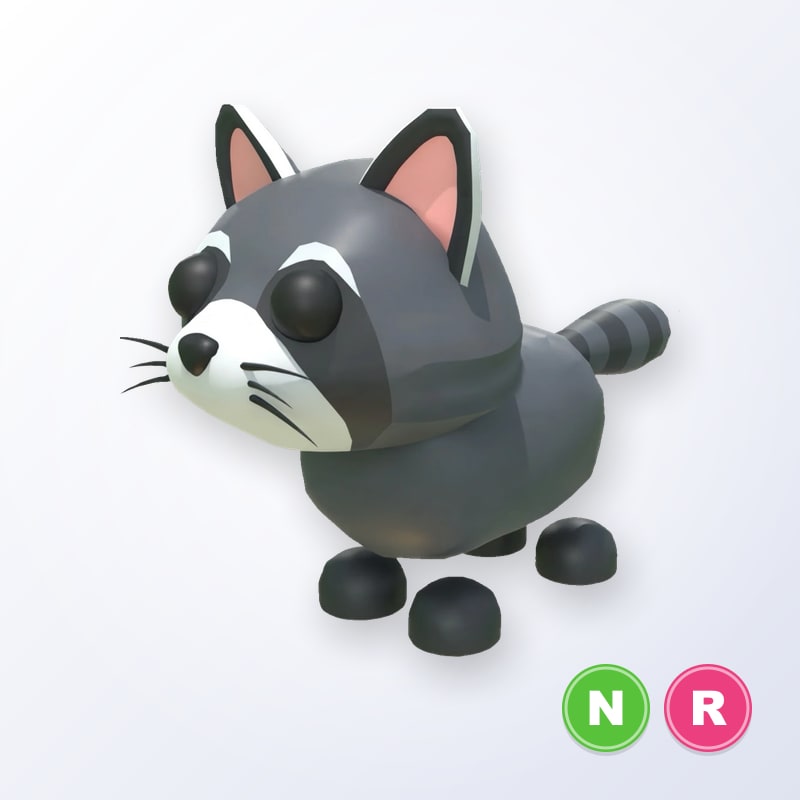 Raccoon NR | Adopt Me