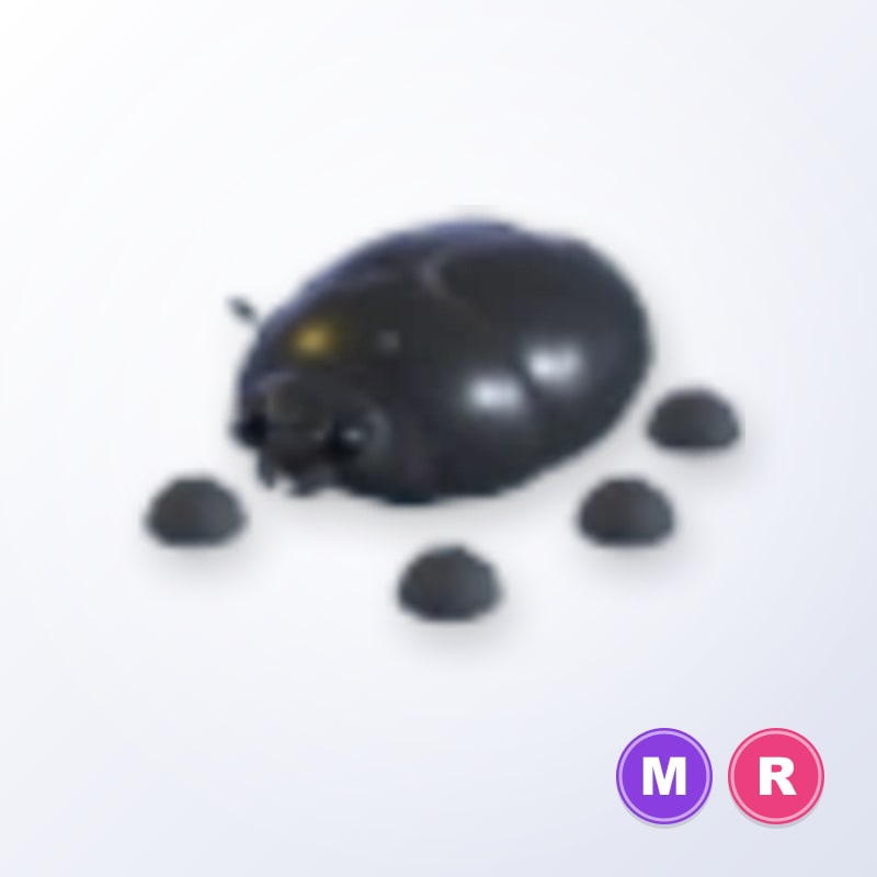 Giant Black Scarab MR | Adopt Me