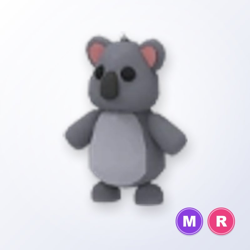 Koala MR | Adopt Me