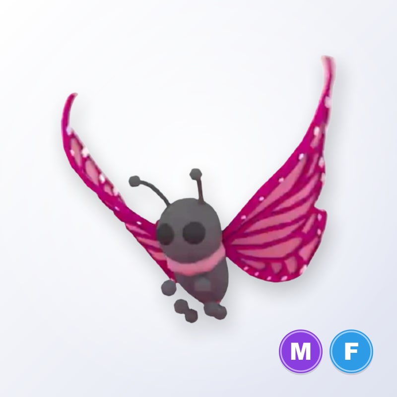 2021 Uplift Butterfly MF | Adopt Me