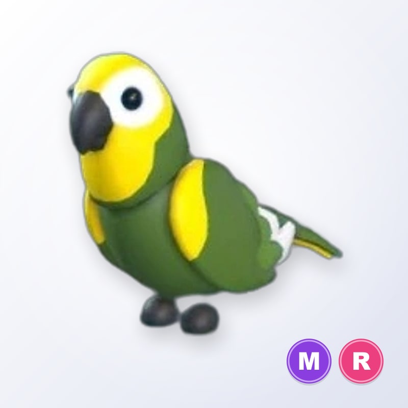 Green Amazon MR | Adopt Me
