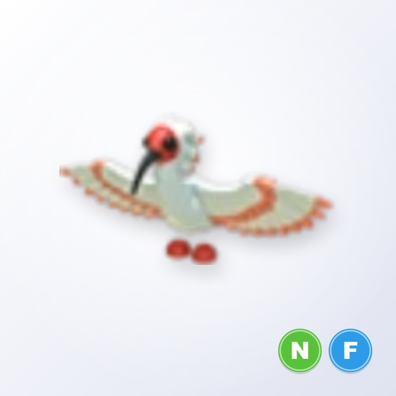 Ibis NF | Adopt Me