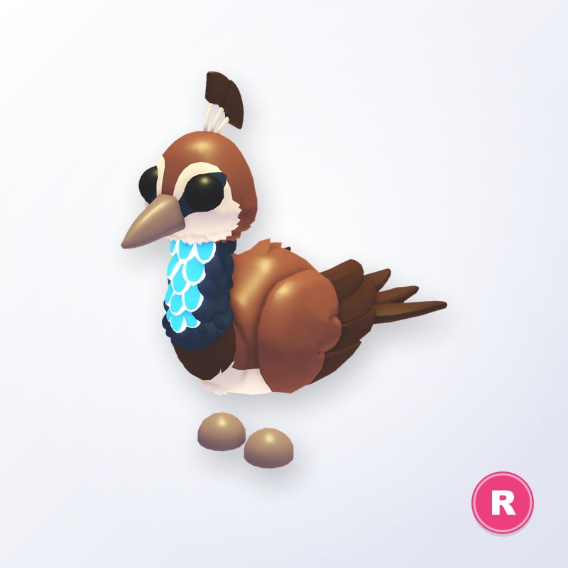 Peahen R | Adopt Me