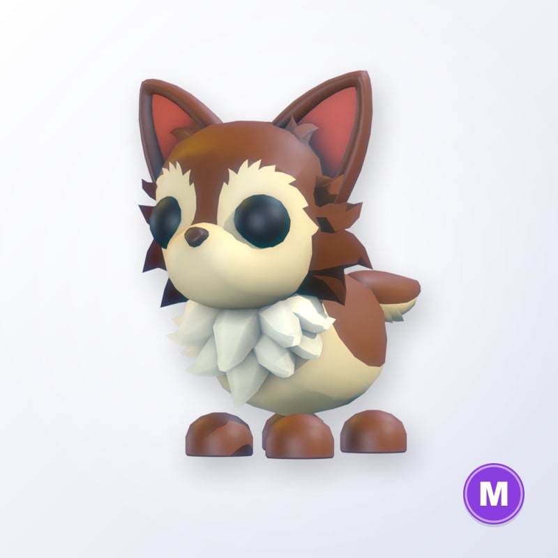 Chihuahua M | Adopt Me