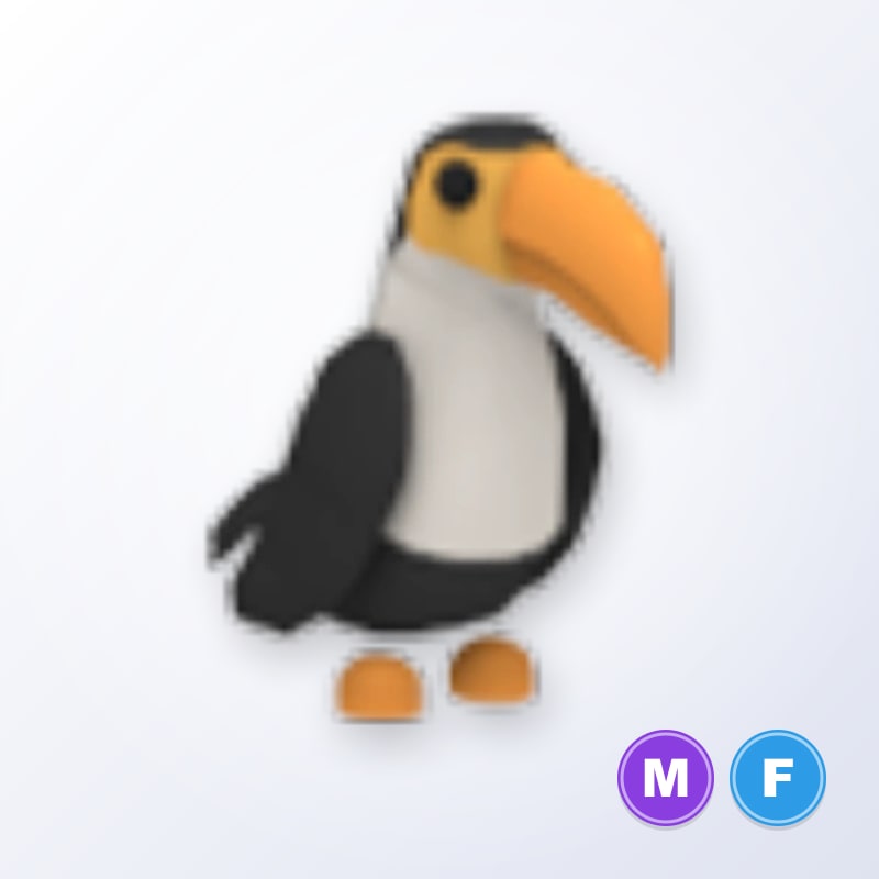 Toucan MF | Adopt Me