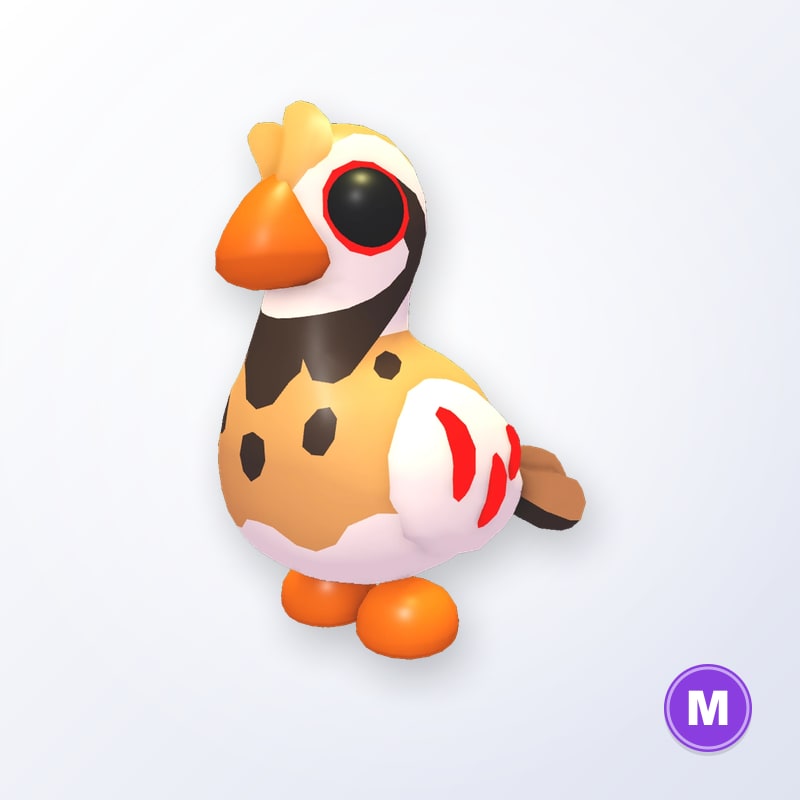 Partridge M | Adopt Me