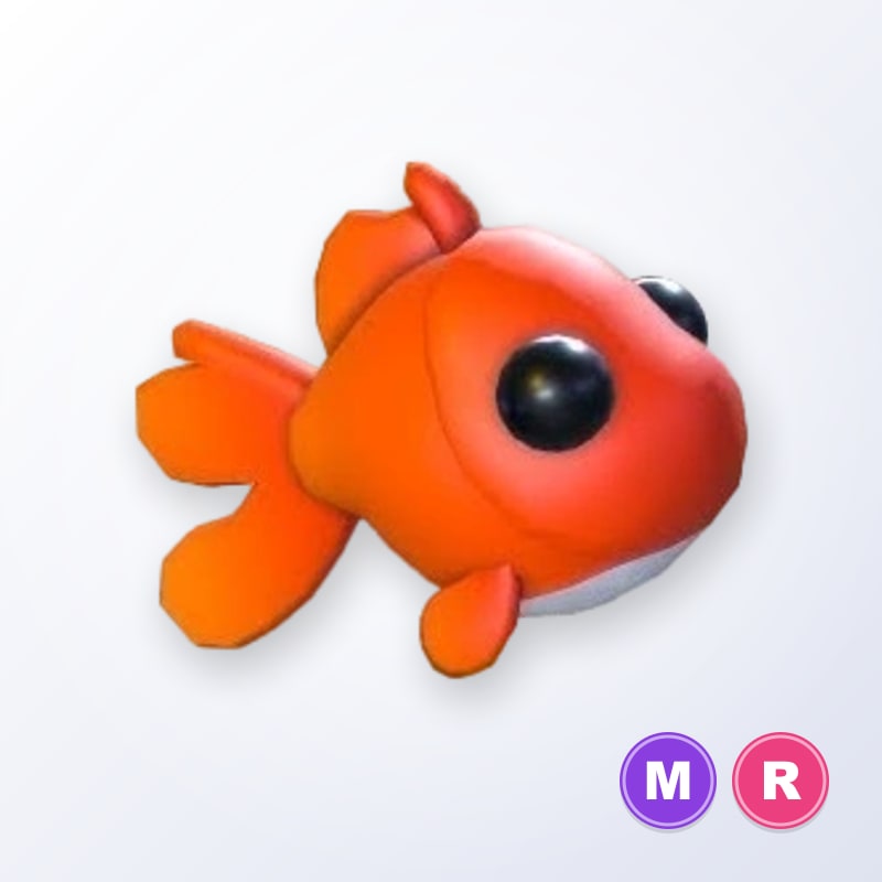 Goldfish MR | Adopt Me