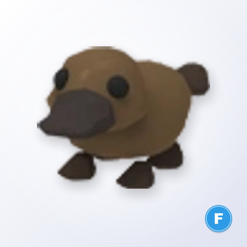 Platypus F | Adopt Me