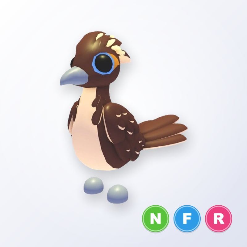 Roadrunner NFR | Adopt Me